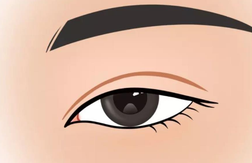vx截图_20230821123445.png