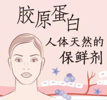 骨胶原填充面部.jpg