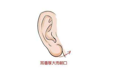 耳垂.jpg