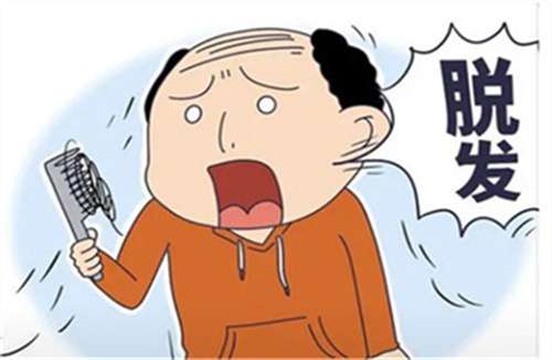 植发13.jpg