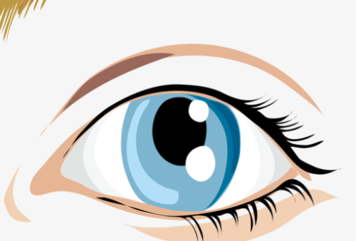 vx截图_20231102155832.png