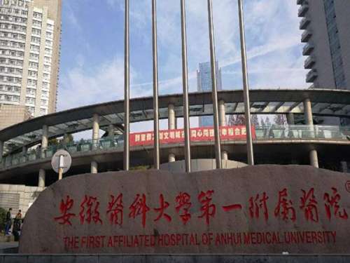 安徽医科大学第一附属医院.jpg