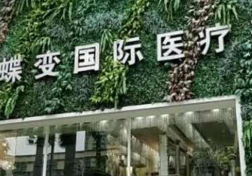 蝶变.jpg