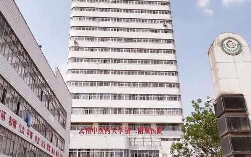 云南中医药大学第二附属医院.jpg