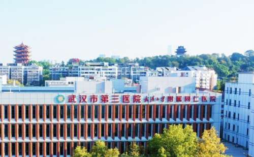 武汉市第三医院.jpg