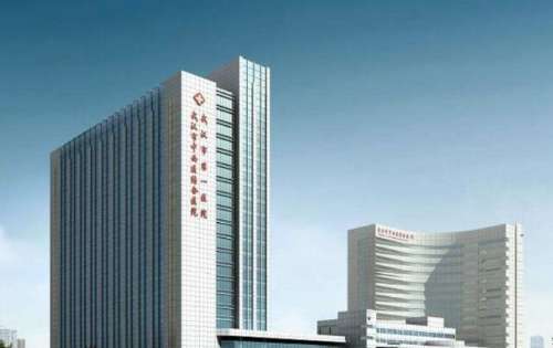 武汉市中西医结合医院.jpg