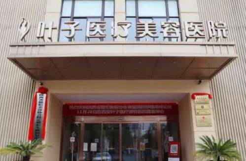 西安叶子医疗美容医院.jpg