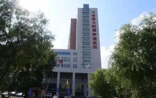 哈尔滨医科大学附属肿瘤医院.jpg