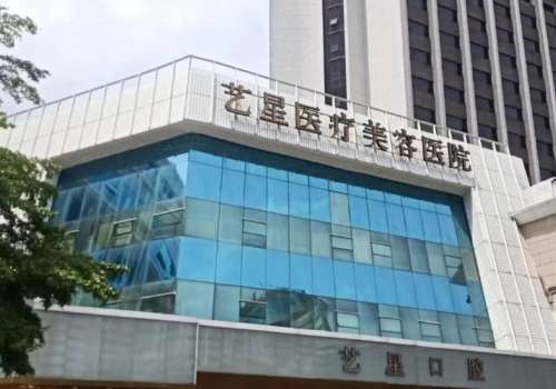 深圳艺星3.jpg