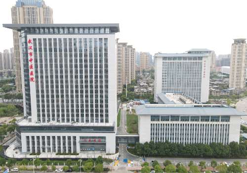 武汉市中医医院.jpg