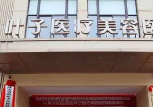西安叶子.jpg