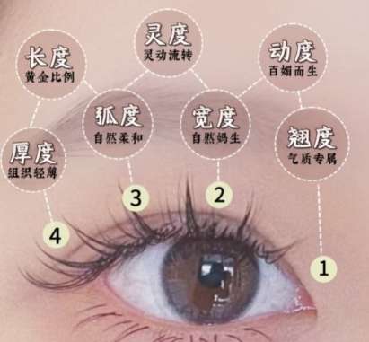 双眼皮 双眼皮