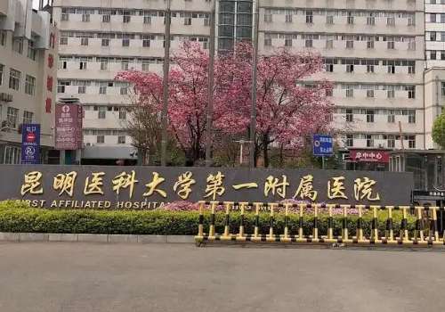 昆明医科大学第一附属医院.jpg