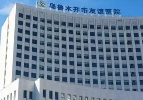 乌鲁木齐市友谊.jpg