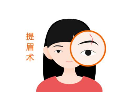 提眉2.jpg