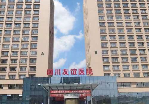 四川友谊.jpg