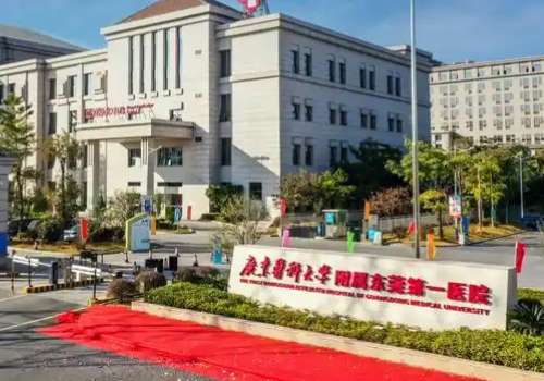 广东医科大学附属东莞第一医院.jpg