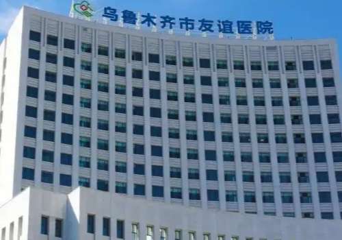 乌鲁木齐市友谊医院.jpg