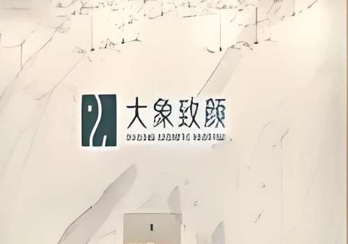 成都高新大象致颜医疗美容门诊部.jpg
