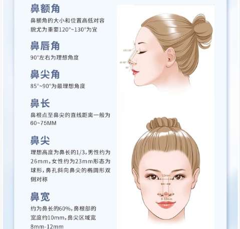 鼻子 鼻子