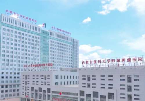 北京大学肿瘤医院内蒙古医院.jpg