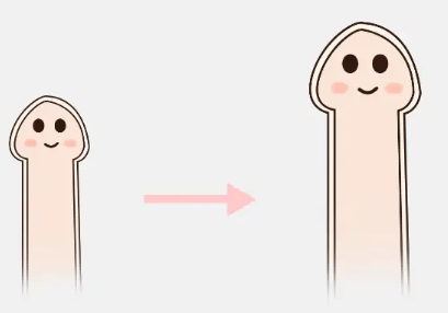 阴茎1.png