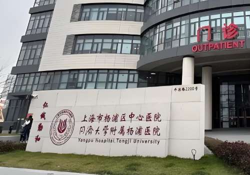 上海市杨浦区中心医院.jpg
