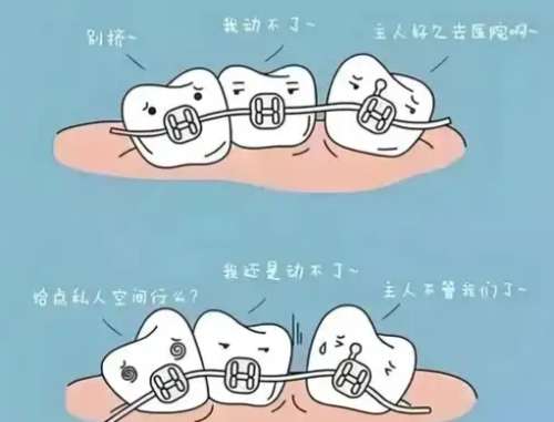 牙齿矫正dm9.jpg