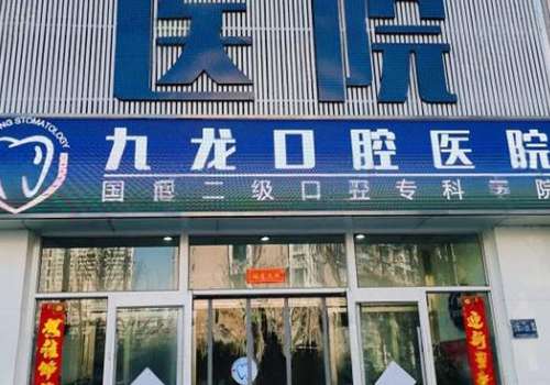 洛阳拜尔九龙.jpg
