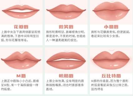 丰唇 丰唇