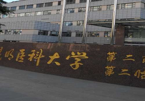 昆明医科大学第二附属医院.jpg