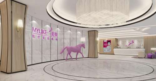 深圳美莱医疗美容医院.jpg
